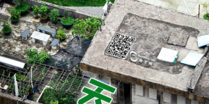 天台上的春天：方寸之地 别样生活